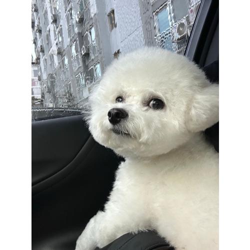 박병민
